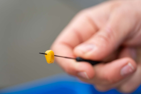 P0220137 FLOATER DISGORGER_BAITING NEEDLE_ls_05.jpg